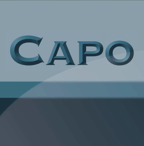 CAPO - Systems GmbH